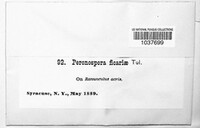 Image Associated With the Occurence